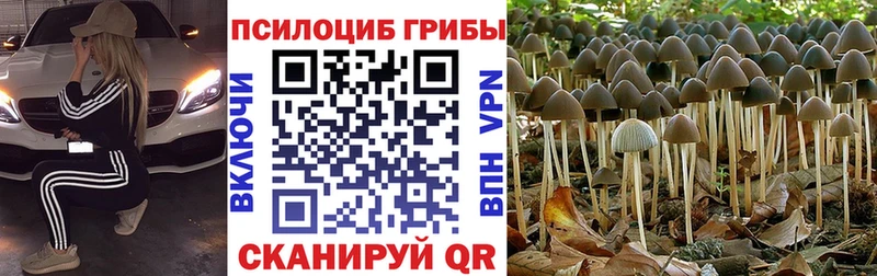 купить наркотик  Зеленодольск  Галлюциногенные грибы мухоморы 