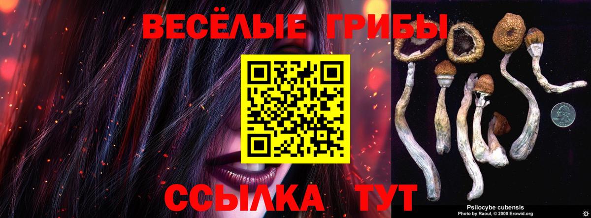 Псилоцибиновые грибы прущие грибы Зеленодольск